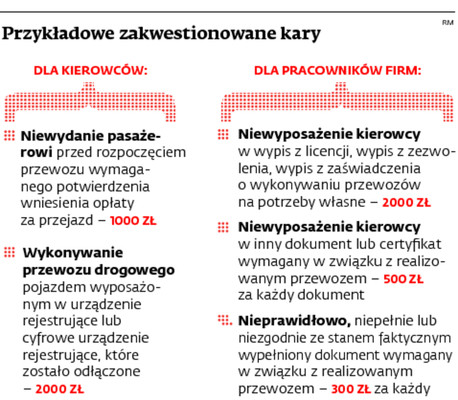 Przykładowe zakwestionowane kary