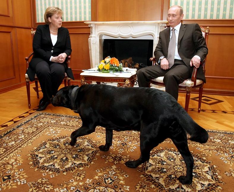 Putin po latach tłumaczy swoją wpadkę z psem i Angelą Merkel Wiadomości