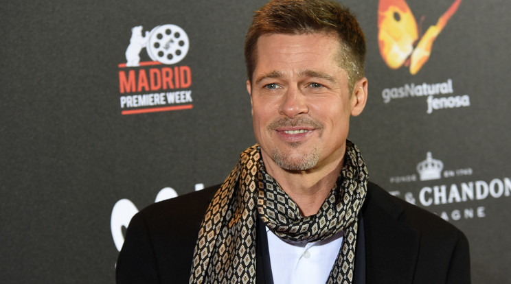 Brad Pitt egy új filmben nyűgözheti le a közönséget /Fotó: Northfoto