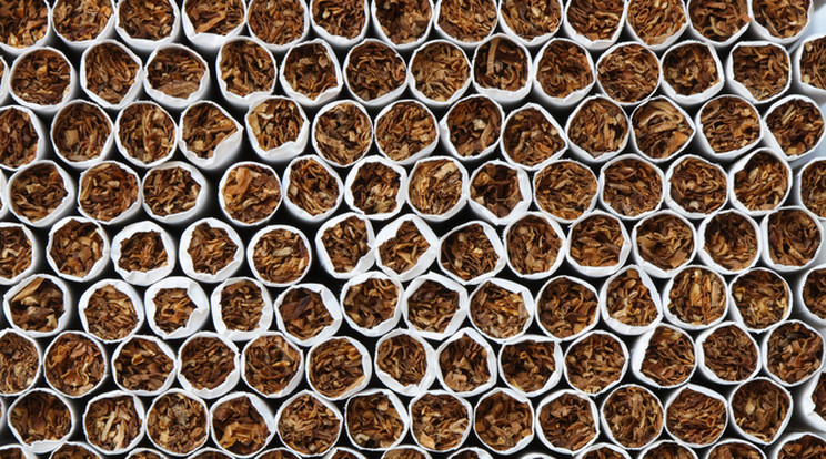 Több mint 50 ezer doboz különböző márkájú adózatlan cigarettát találtak / Fotó: Northfoto