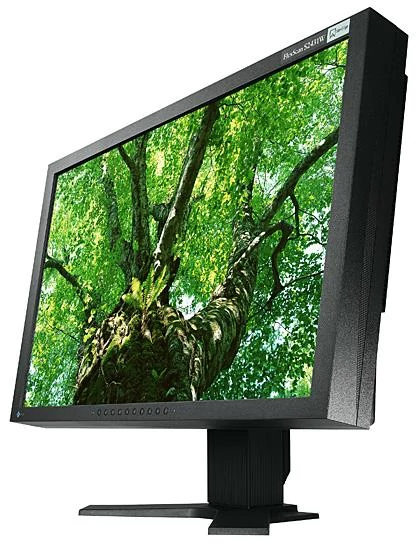 EIZO FlexScan S2431W