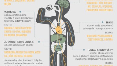 Co się dzieje z twoim ciałem, gdy masz kaca? [INFOGRAFIKA]