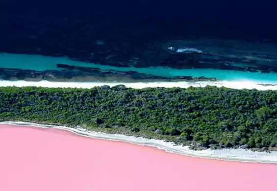 Jezioro jak guma balonowa - zobacz niesamowite zjawisko w Australii