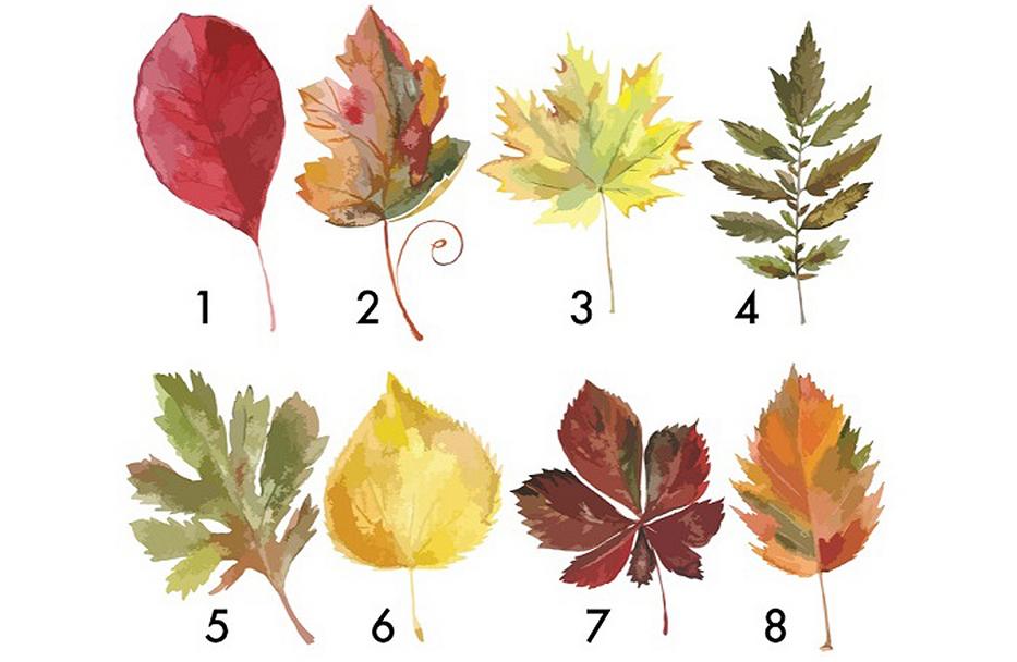 Válassz egy őszi falevelet, és tudd meg, hogy mi vár rád az év végéig