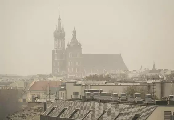 5 produktów, które oczyszczą płuca nawet z "krakowskiego powietrza"