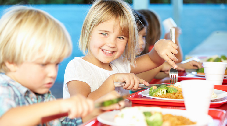 Kevesebb cukrot és zsírt, de több rostot és vitamint 
tartalmaznak a fogások /Fotó:Shutterstock