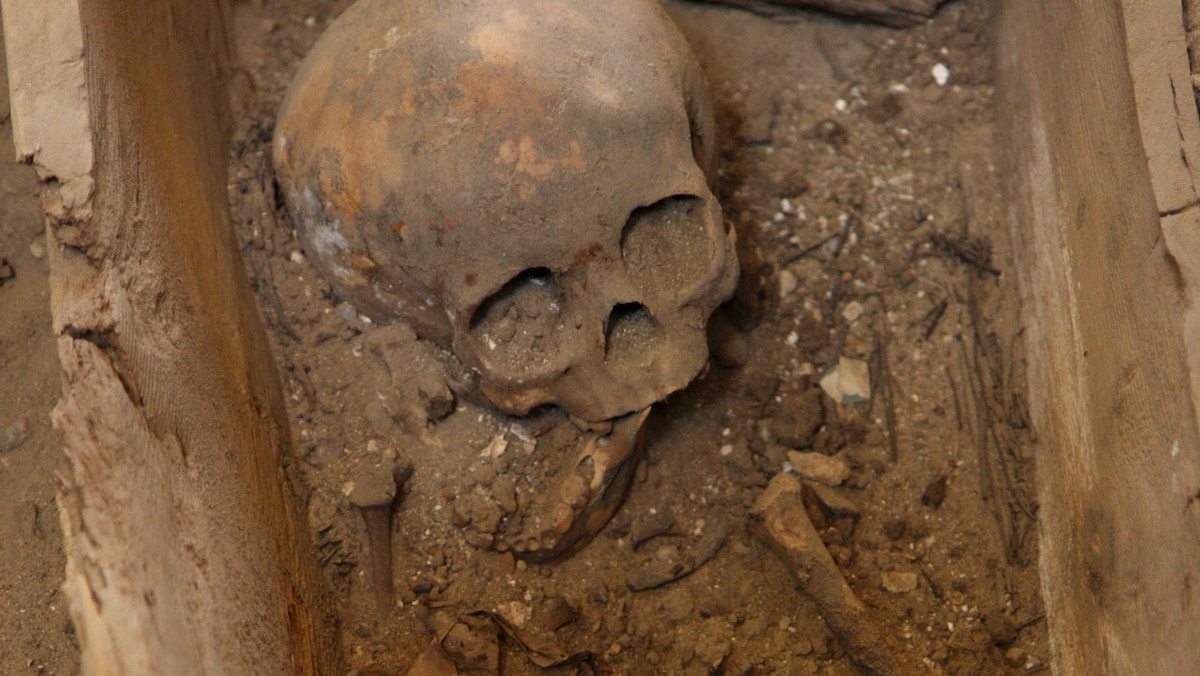 Masową mogiłę z poł. XVII w. znaleźli archeolodzy na dziedzińcu zamku w Gołańczy koło Wągrowca. Badacze przypuszczają, że są to szczątki obrońców zamku, zamordowanych przez Szwedów.