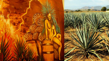 Tequila i jej miłosna historia