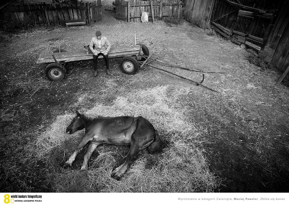 Najlepsze zdjęcia National Geographic 2012 - Zbliża się koniec - Maciej Pawelec