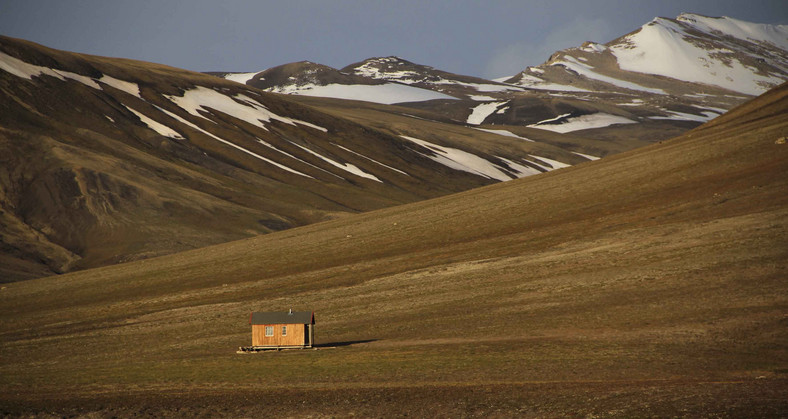 Lato na zachodnim Spitsbergenie, fot. Ilona Wiśniewska