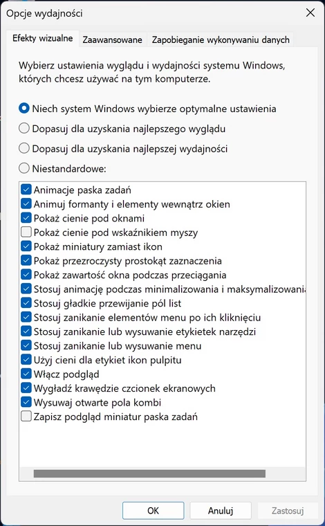 Opcje wydajności Windows