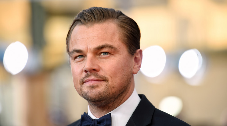 Vajon DiCaprio megkapja az Oscart? / Fotó: Northfoto