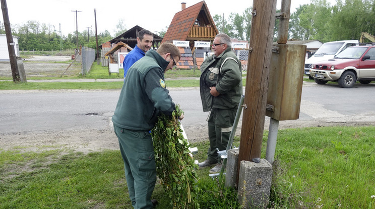 Jászszentlászlói gólyák