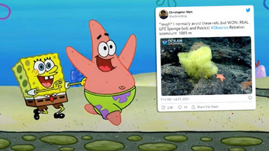 SpongeBob i Patryk z kreskówki sfotografowani na dnie oceanu przez naukowców