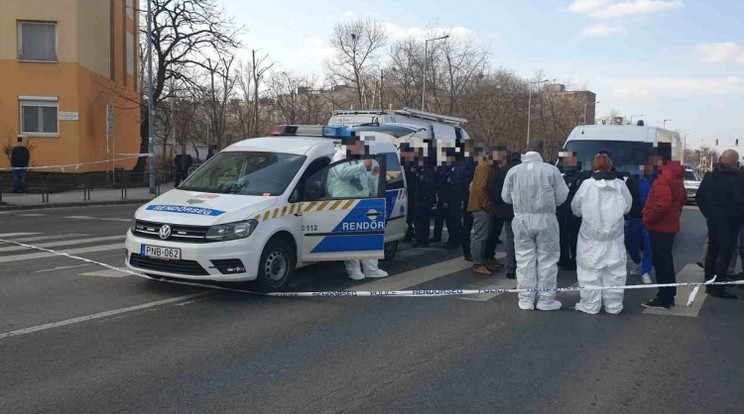 A rabot végül lelőtték /Fotó: Police.hu