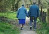W Zakładzie Ubezpieczeń Społecznych na emerytury w ciągu najbliższych pięciu lat zabraknie od 158 mld zł do 226 mld zł.