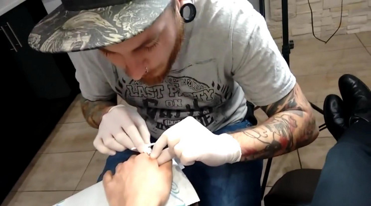Állatorvossal is próbálkozott, de végül egy tetováló végezte el a csip beültetését / Fotó: Northfoto
