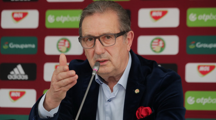 Leekens információkat gyűjt /Fo­tó: Grnák László