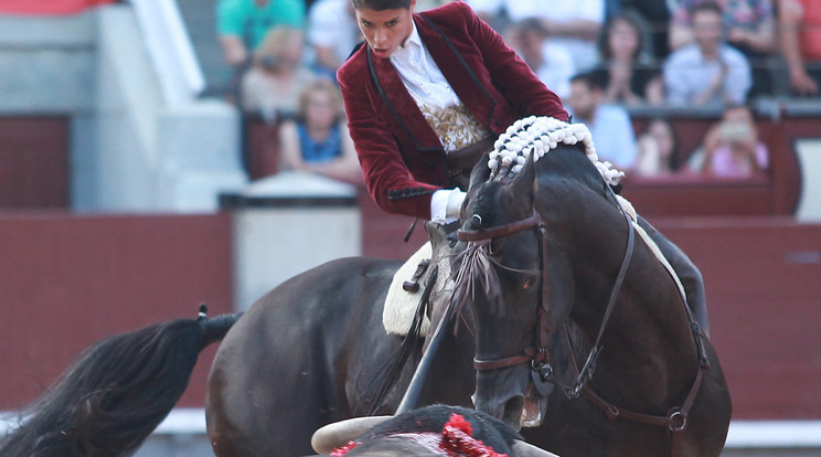 Lea Vicens 
lova, Jasmine 
hátán szemből közelítette meg a 
bikát.../Fotó:AFP