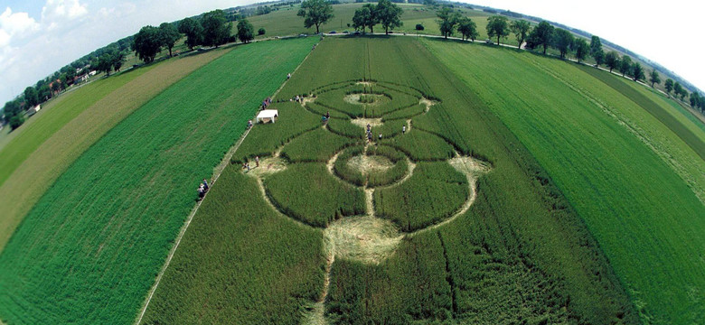 Więcej ludzi wierzy w UFO niż w Boga