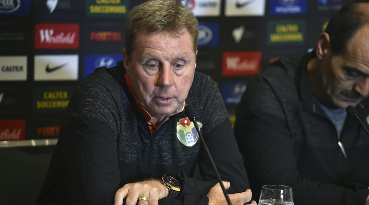 Harry Redknapp feleségét megműtötték / Fotó: AFP