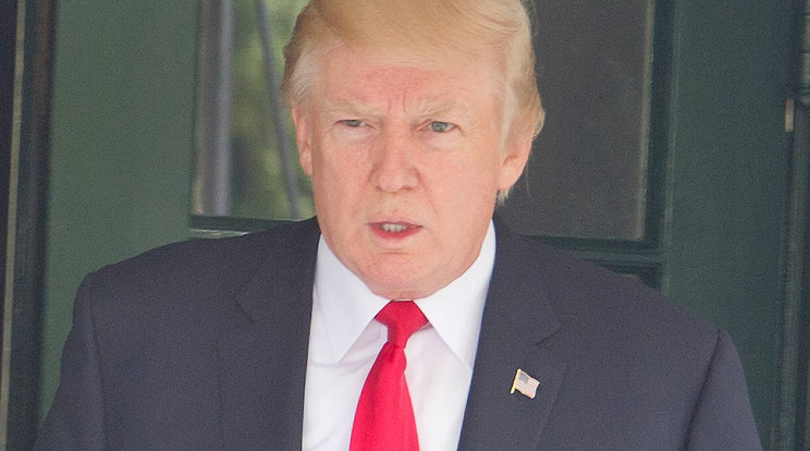 Donapd Trump / Fotó: AFP