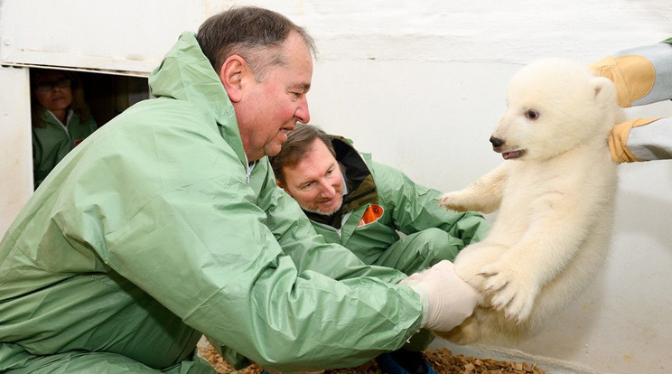 Günter Strauss doktor és Andreas Knieriem 
igazgató vizsgálták meg a jegesmedve kölyköt / Fotó: Profimedia