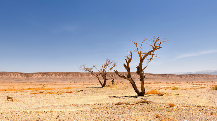 Másfél éve történt az eset Ausztráliában / Fotó: Shutterstock