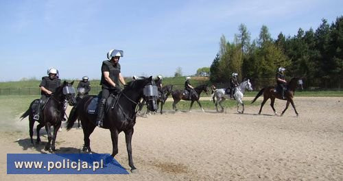 Poznańscy policjanci na koniach