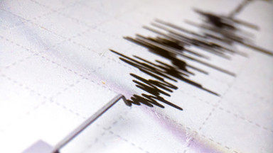 Sztuczna inteligencja potrafi przewidzieć trzęsienie ziemi? Naukowcy twierdzą, że tak