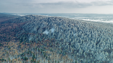 Świętokrzyski Park Narodowy obchodzi swoje 74 urodziny [ZDJĘCIA]