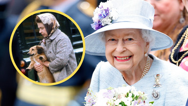 Królowa Elżbieta II kochała psy. Co po śmierci monarchini stanie się z jej pupilami?