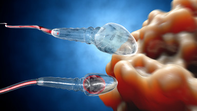 Mężczyźni tracą spermę. Nowe badanie dowodzi, że mamy jej o ponad 50 proc. mniej niż przed 40 laty
