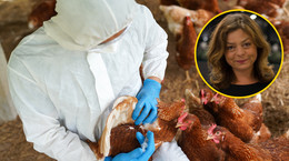 Wirusolożka przestrzega przed ptasią grypą u ludzi. &quot;Bardzo szybka zdolność mutacji&quot;