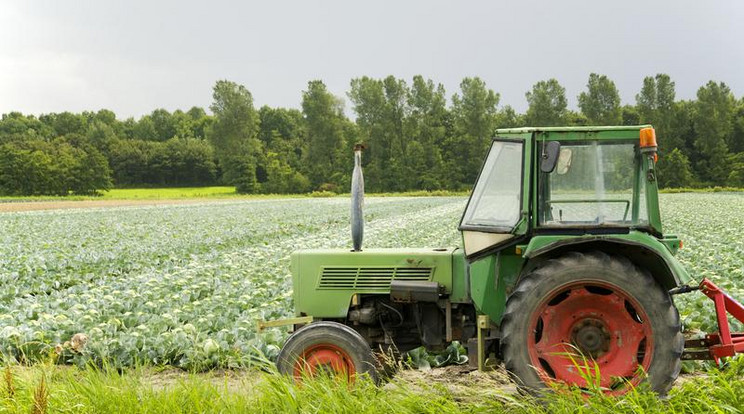 A traktor sebességben maradt, ezért gázolhatta el a nőt /Fotó: Northfoto 