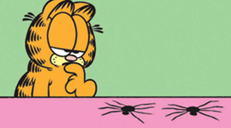 Így szúrtak ki a nyolclábúak Garfielddal