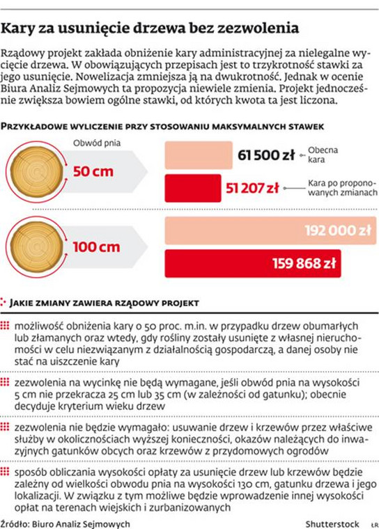 Kary za usunięcie drzewa bez zezwolenia