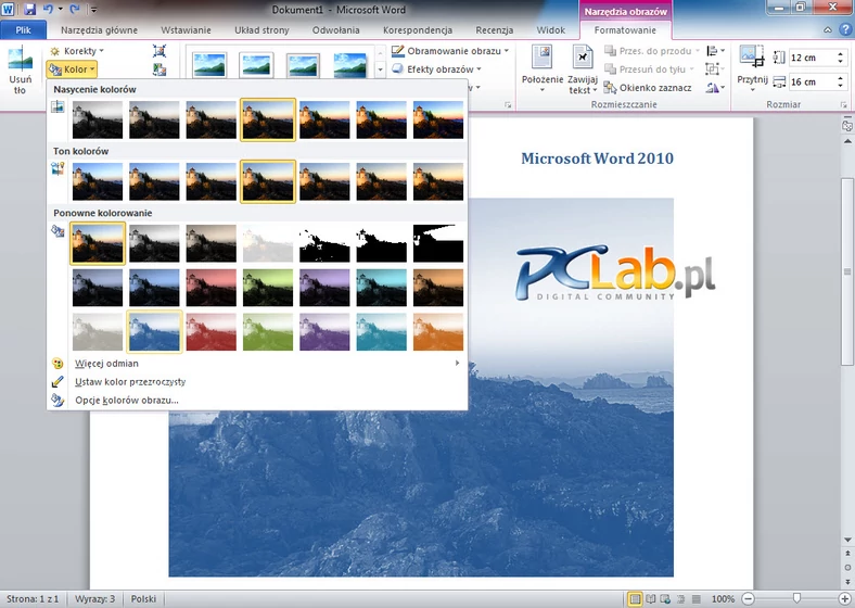 MS Word 2010 – paleta ustawień koloru (kliknij, aby powiększyć)
