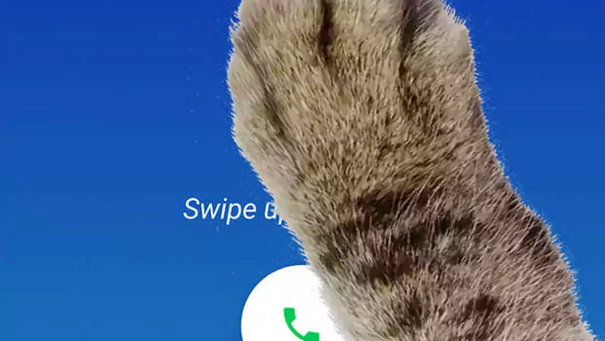 Google w aplikacji Telefon 9.0 ukryło nowy easter egg. To tryb łapy (wideo)