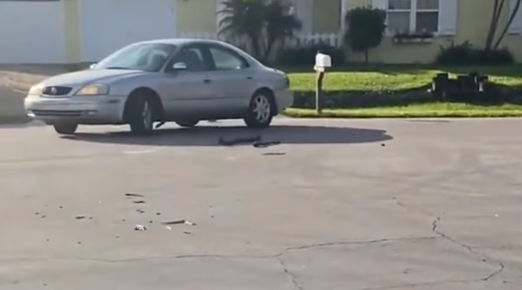 Hátrafelé körözött a kutya az autóval