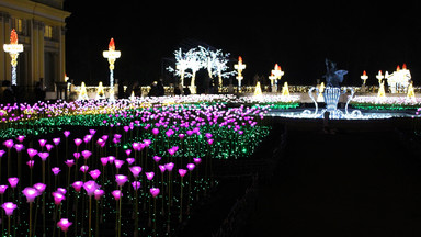 Królewski Ogród Światła - wielka atrakcja przy Pałacu w Wilanowie