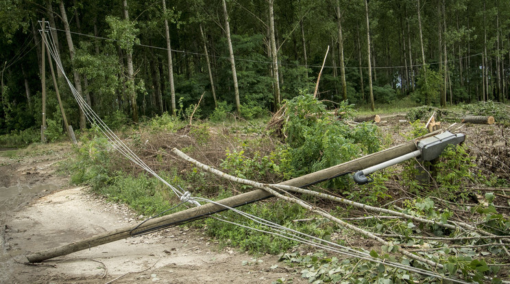 A viharban megrongálódott elektromos távvezeték Kecskemét-Borbás külterületén / Fotó: MTI Ujvári Sándor