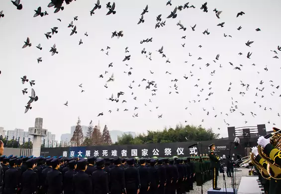 Tak Chiny świętują swoje "urodziny". Gołębie w Pekinie z zakazem latania