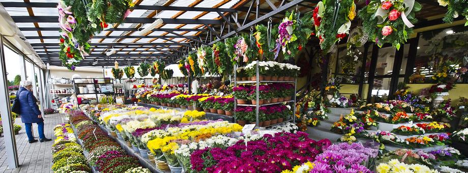 W Polsce funkcjonuje ok. 5 tys. gospodarstw produkujących kwiaty oraz 6,5 tys. kwiaciarni. Kwiaty sprzedawane są bezpośrednio u producentów, na targowiskach, a nawet w dyskontach