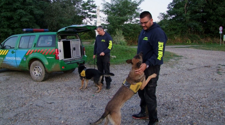 Félig kihűlve találtak rá a négyéves kislányra / Fotó: Police.hu