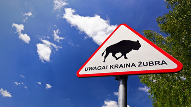 Znaki ostrzegawcze "Kraina Żubra" w okolicach Puszczy Białowieskiej