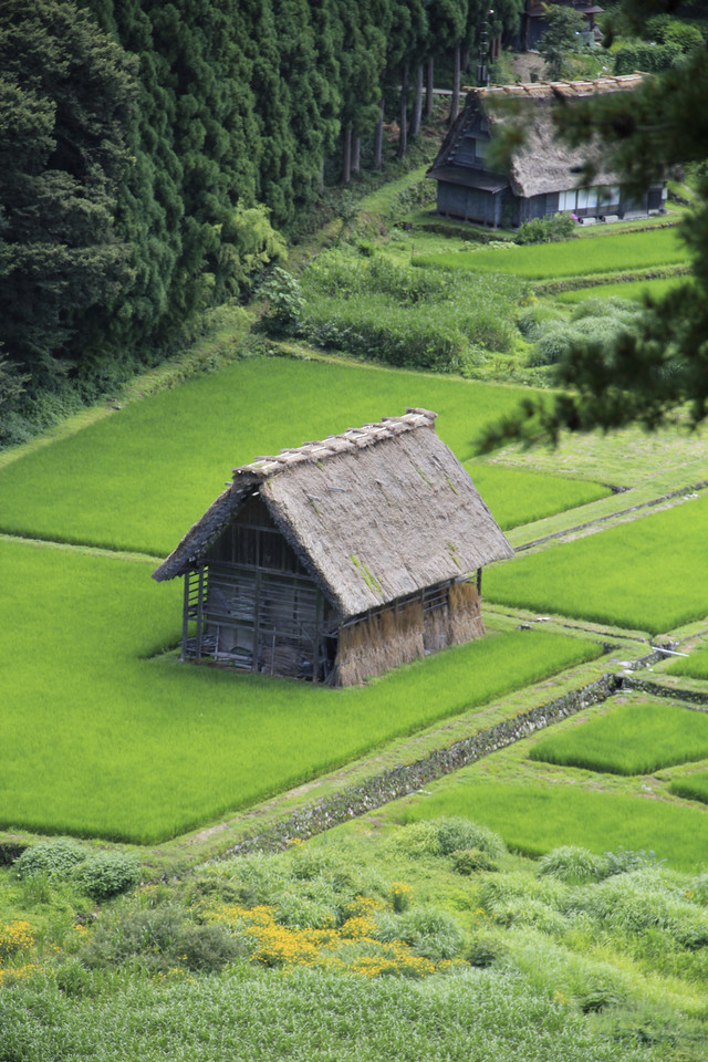 Shirakawa-go