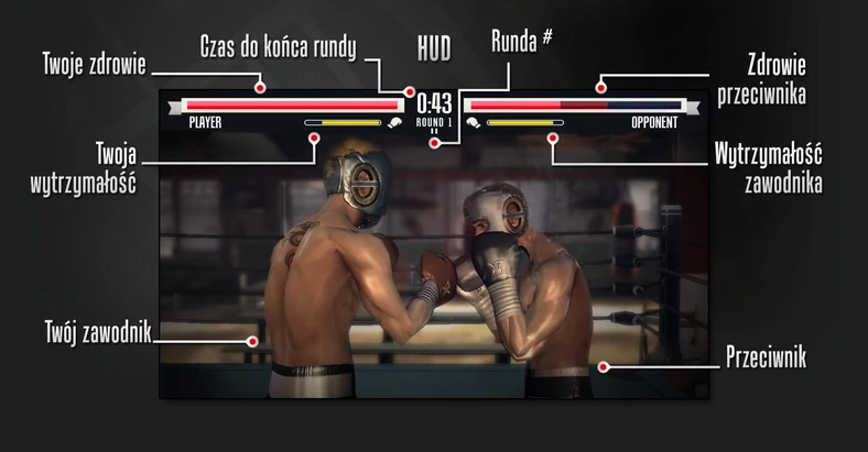 Real Boxing