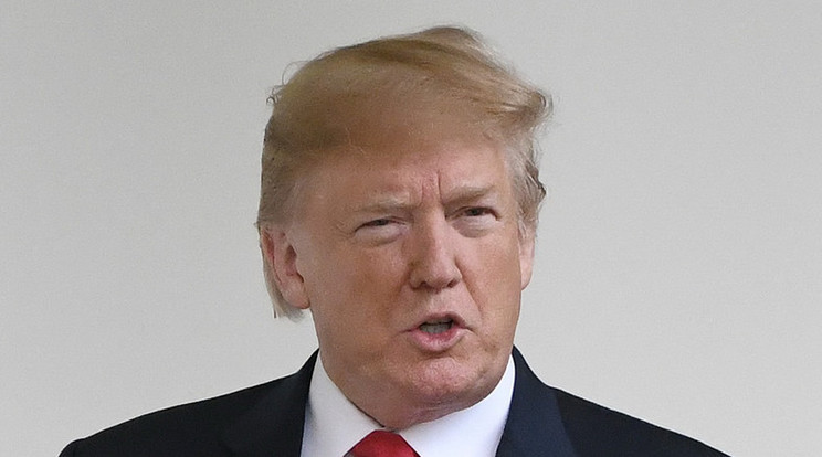 Donald Trump /Fotó: Getty Images