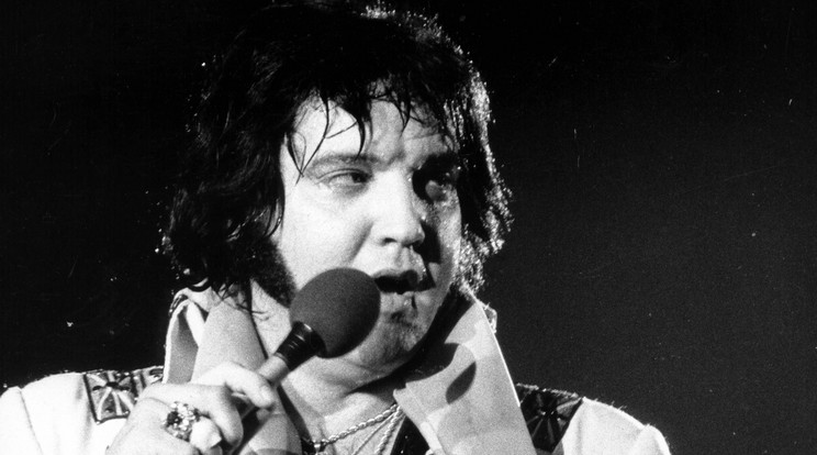 Ez a fotó Elvis egyik utolsó
koncertjén 
készült, az 
énekes elhízott, több 
betegség 
gyötörte /Fotó:Profimedia-Reddot
